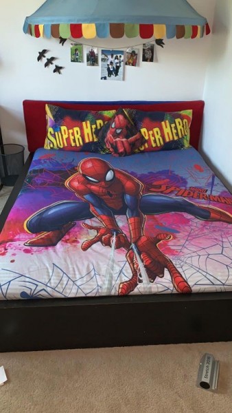 cushion 3